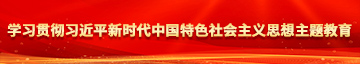 日本大屌抽插网站线看学习贯彻习近平新时代中国特色社会主义思想主题教育